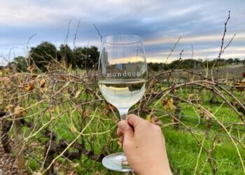 Wine glass at Mandoon Estate in the Swan Valley wine region