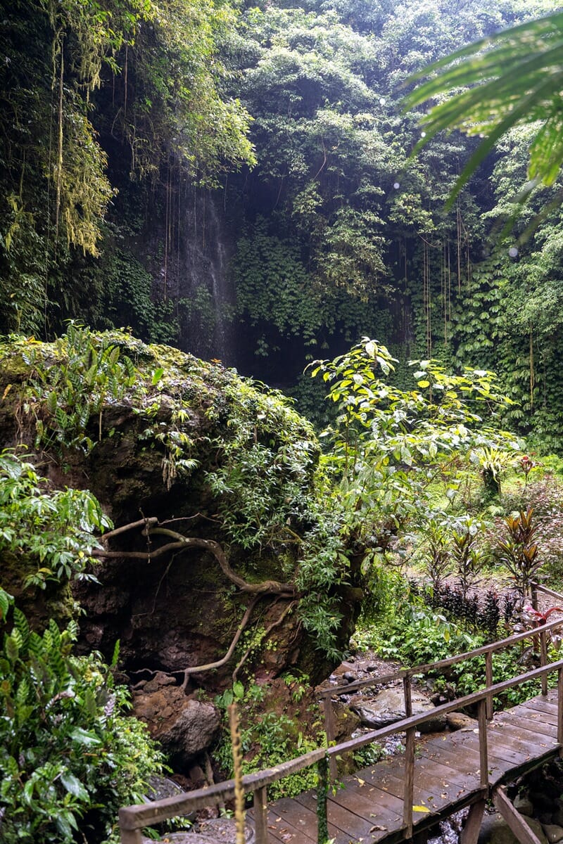 Banyu Wana Amertha Waterfall trail in Munduk Bali
