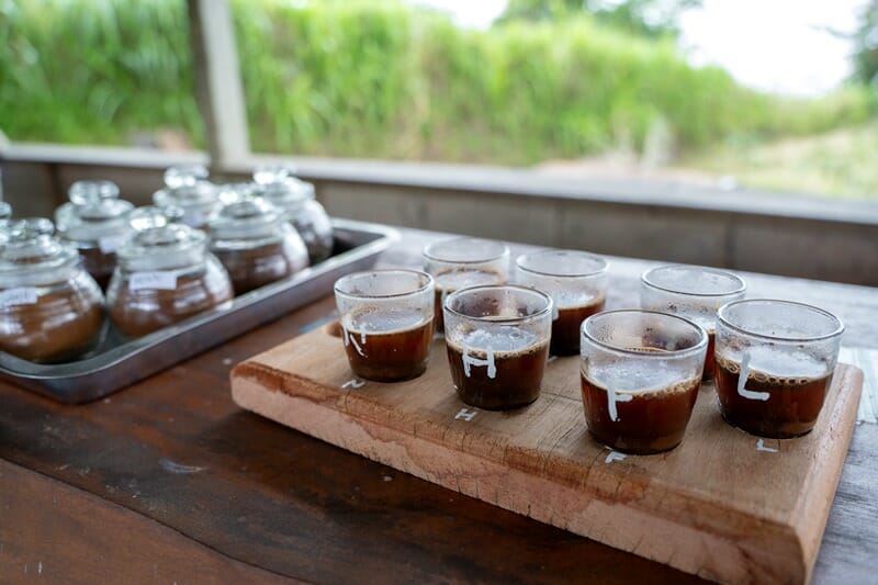 Coffee tasting at Wanagiri Coffee Plantation in north Bali Indonesia