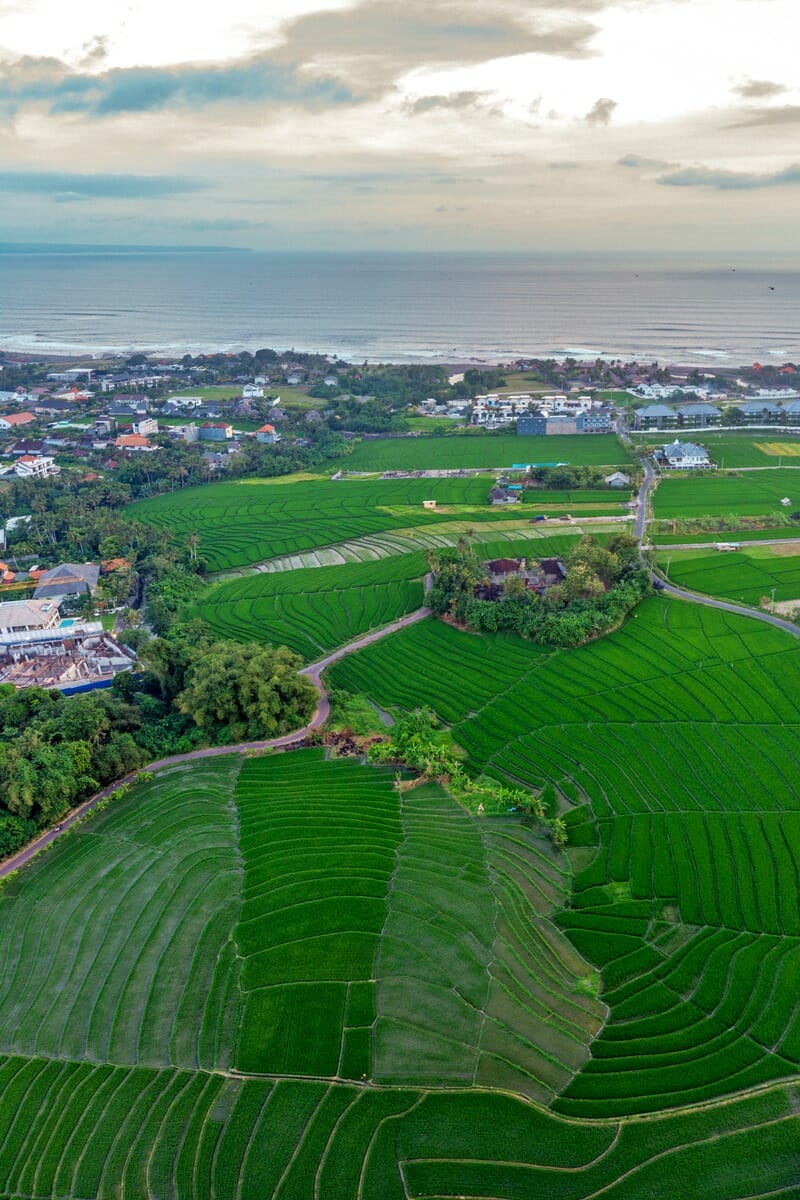Drone photo of rice fields in Canggu Bali