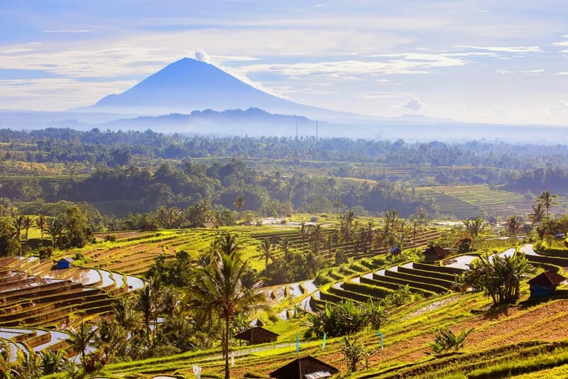 Jatiluwih rice terraces in Bali Indonesia
