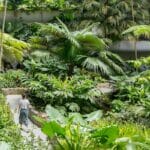 Shangrila Singapore hotel gardens