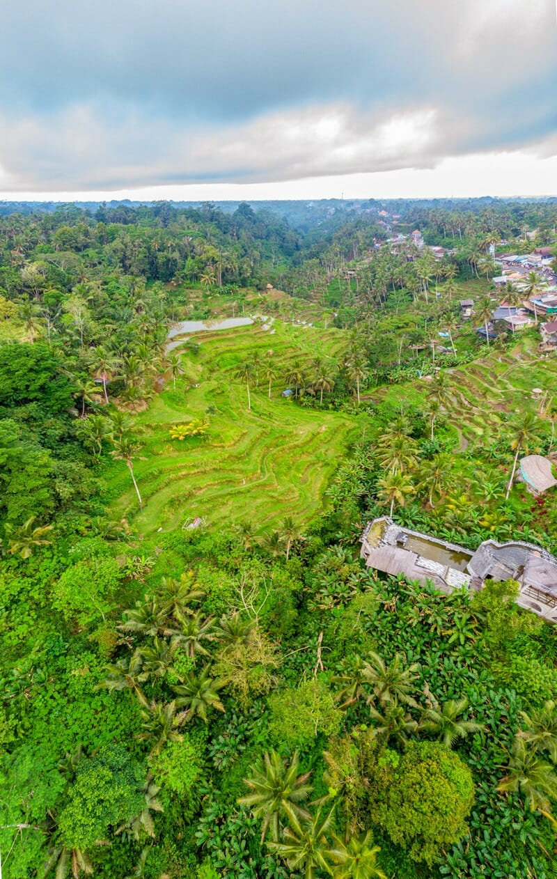 Drone photo of Tegallalang Rice Terraces in Ubud Bali