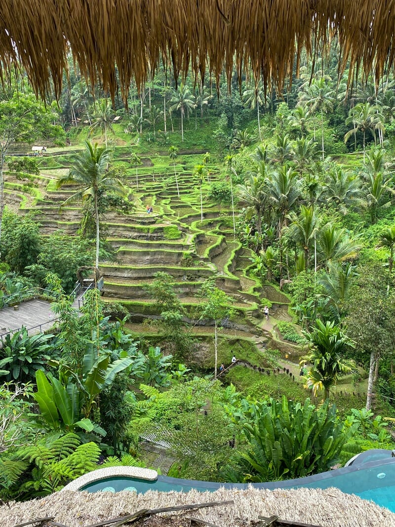 View of rice terraces at Tegallalang in Bali Indonesia