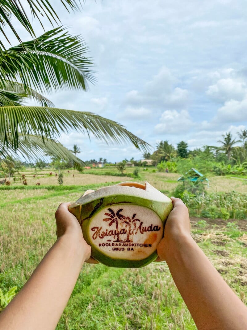 Young coconut at Kepala Muda pool club in Ubud Bali