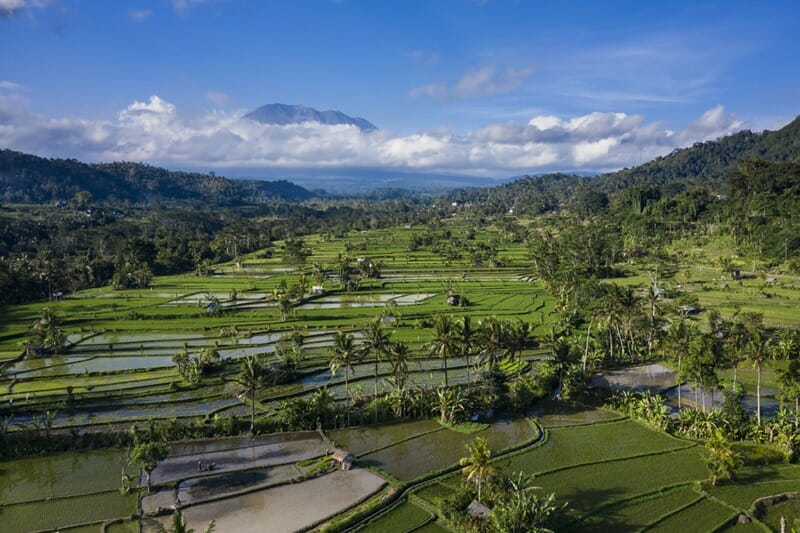 Drone photo of rice terraces in Sidemen Bali