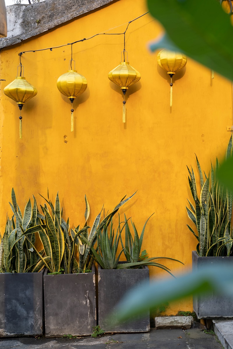 Yellow wall in Hoi An Ancient Town in Vietnam