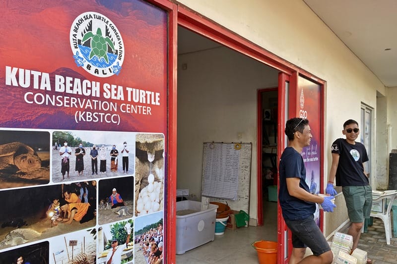 Bali Sea Turtle Society in Kuta Beach Bali