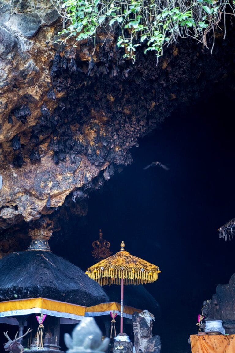 Goa Lawah bat temple in East Bali Indonesia