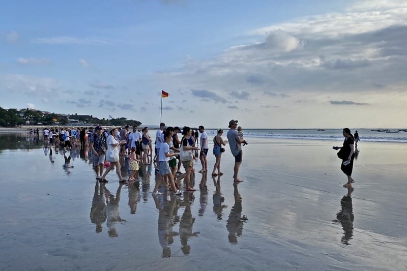 People releasing turtles on Kuta beach with Bali Sea Turtle Society