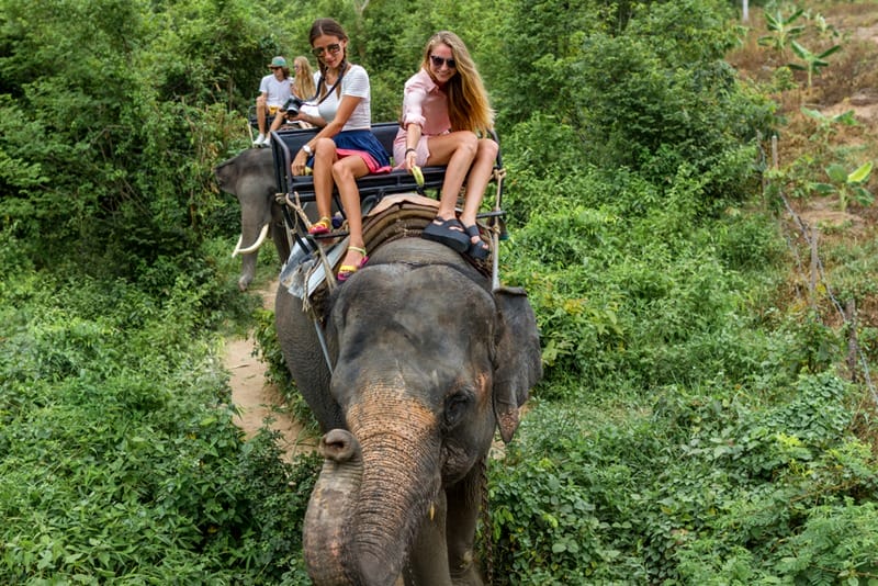 Riding elephants in Thailand stock photo