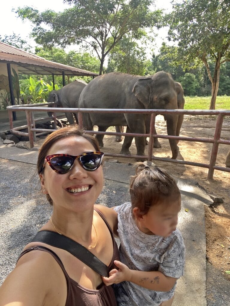 Samui Elephant Haven Koh Samui elephant sanctuary with kids