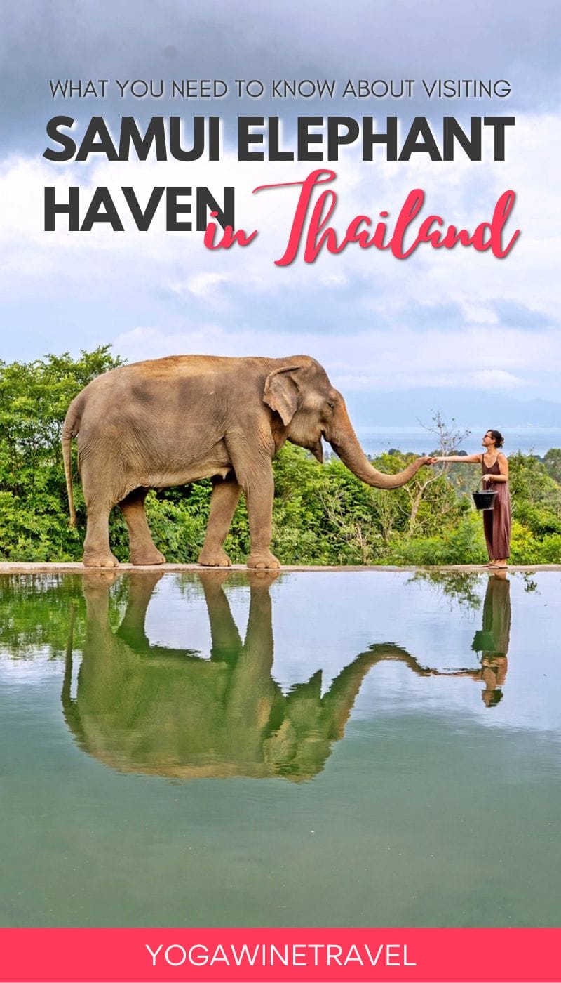Woman feeding elephant in Koh Samui in Thailand with text overlay