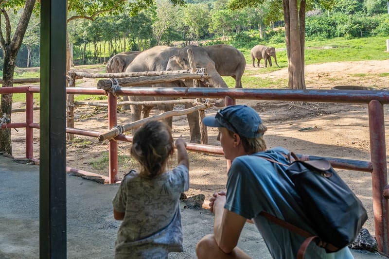 Visiting the herd at Samui Elephant Haven ethical elephant sanctuary in Koh Samui