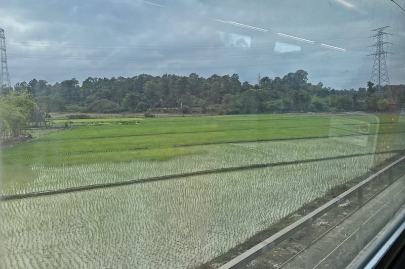 View of rice paddies from Laos China Railway