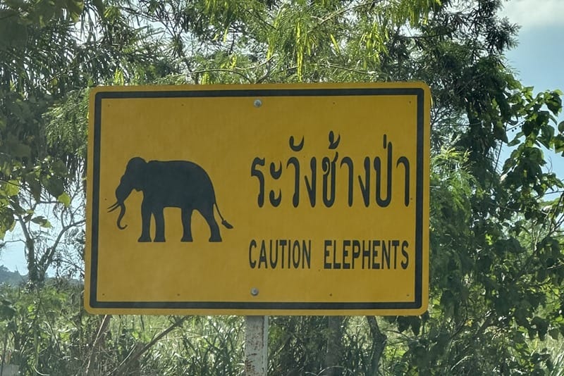 Elephants road sign in Khao Yai Thailand