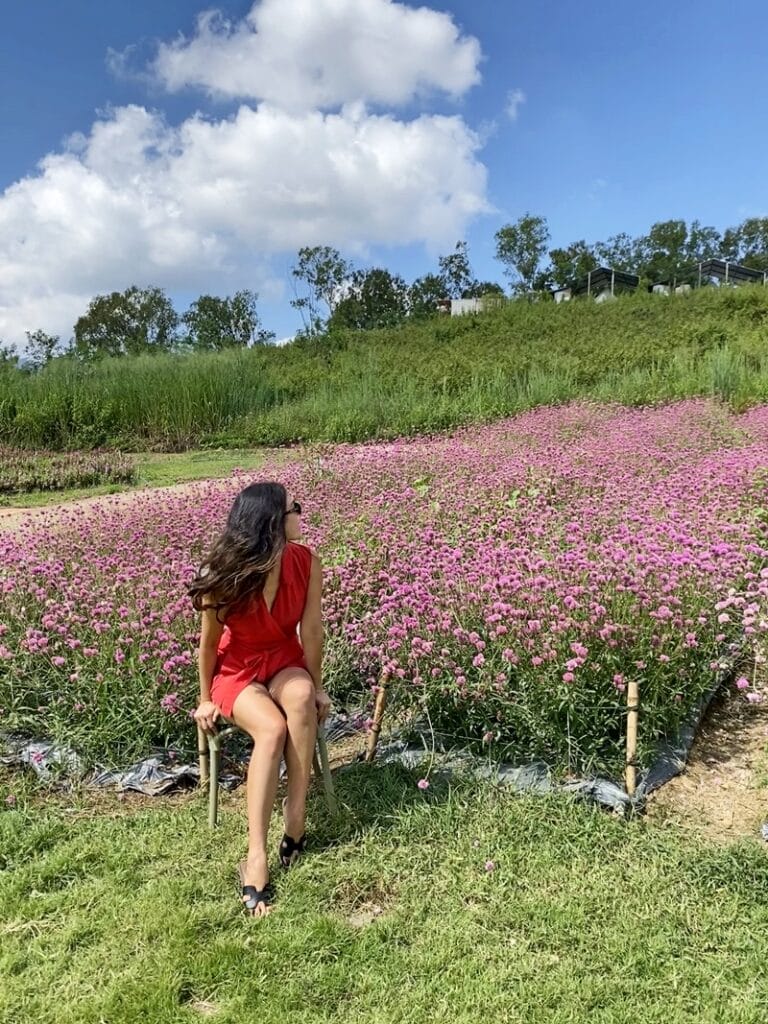 Floryday Cafe in Khao Yai Thailand