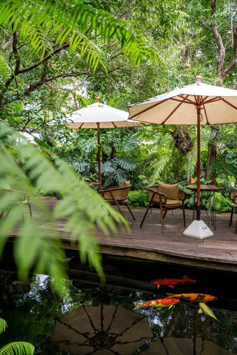 Timber Tales cafe in Khao Yai in Thailand