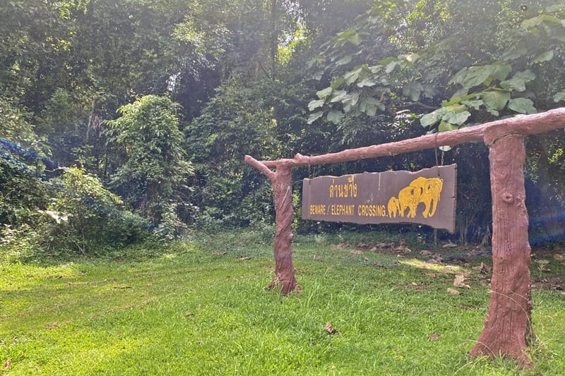 Elephant sign in Khao Yai National Park in Thailand