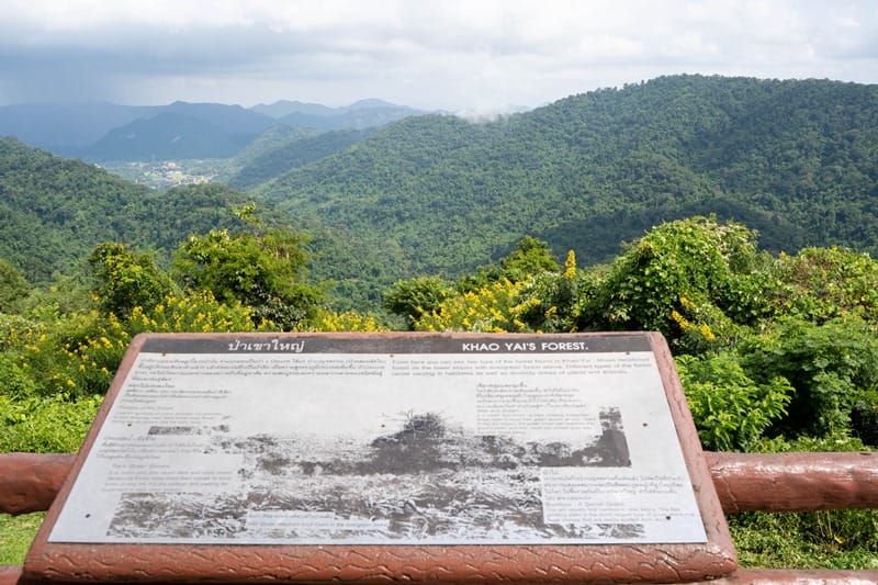 Khao Yai's forest in Thailand