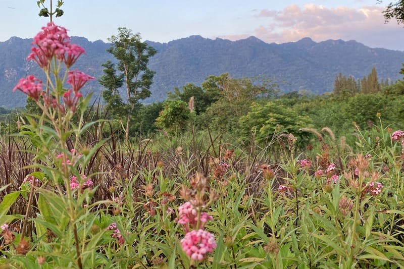 Mountains of Khao Yai at sunset in Thailand