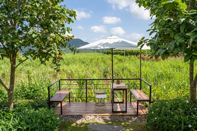OLNA PY roaster in Khao Yai in Thailand 
