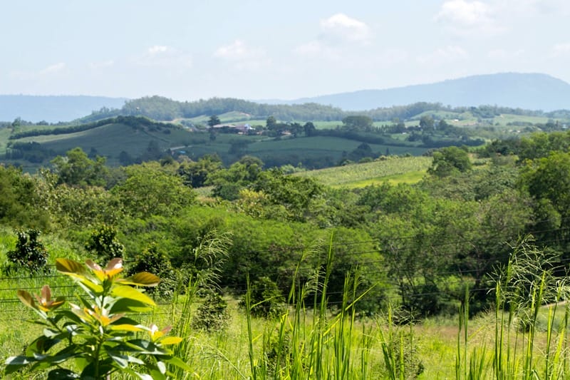 Rolling hills in Khao Yai in Thailand