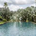 Snakeskin Pool at The Slate Phuket in Thailand