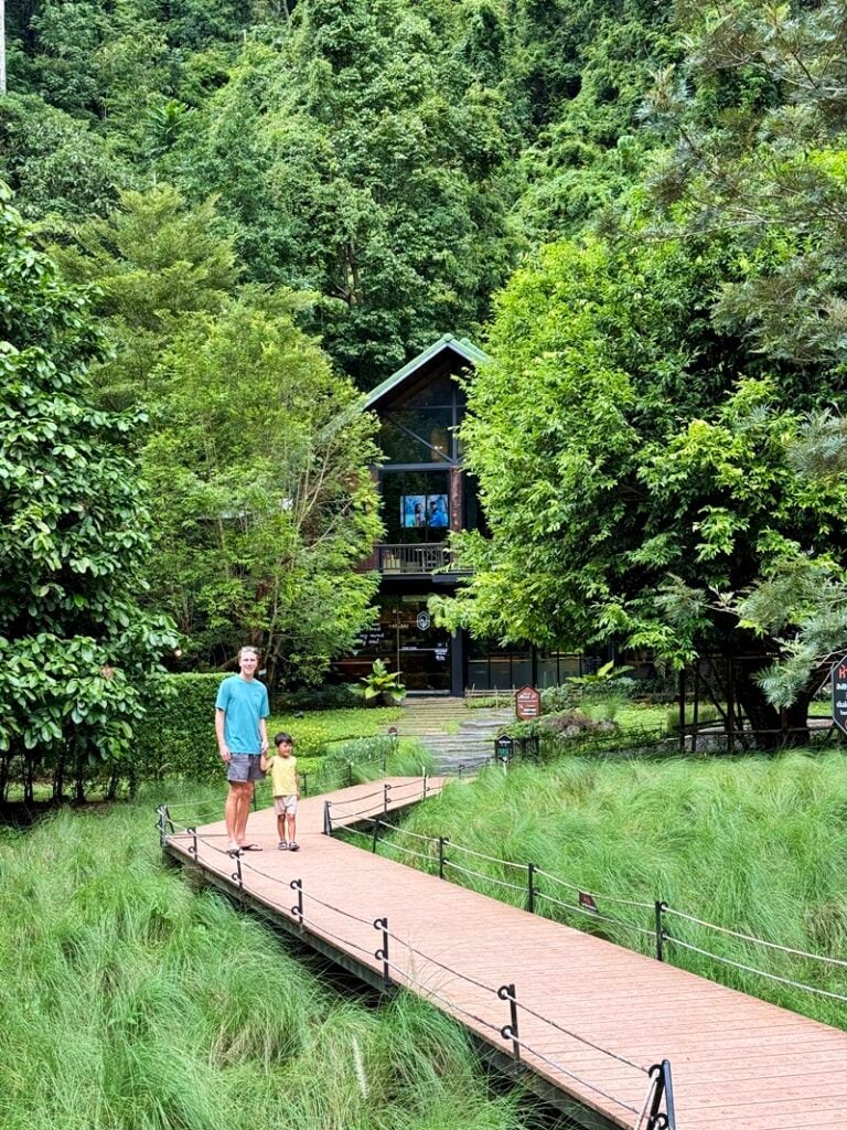 Into the forest cafe in Krabi Thailand