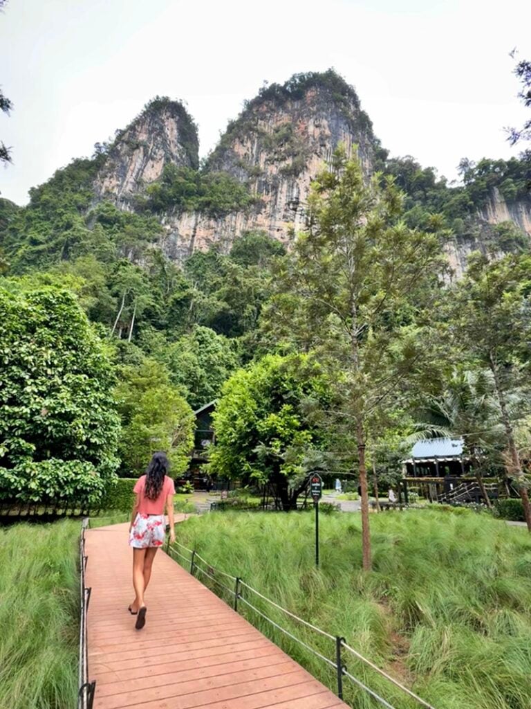 Into the forest cafe in Krabi Thailand